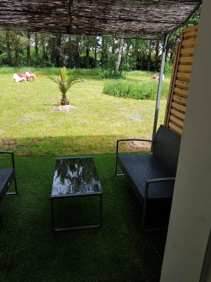 02 - Tres Joli 2 Pieces Avec 3 Lits Pouvant Accueillir Jusqu'A 5 Personnes, Situe Au Rdc Avec Entree Independante, Une Place De Parking Reservee Devant L'Entree Et Terrasse Sur L'Arriere Donnant Sur Parc Arbore, Tout Le Linge De Maison Est Fourni Razac-sur-lʼIsle Exteriér fotografie